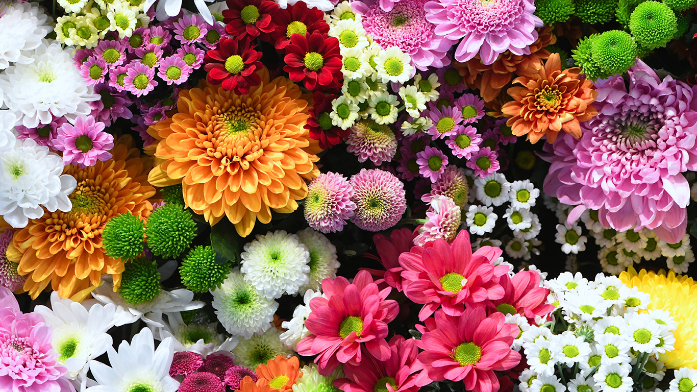 Flowering Plants