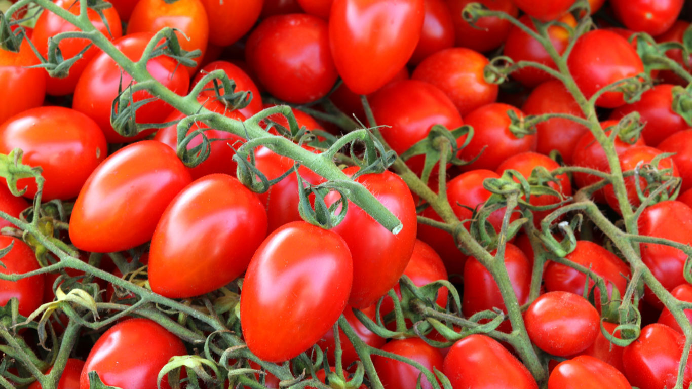 Cherry & Grape Tomatoes